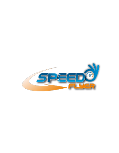 FLYERS 10x21 - 300g- Recto/Verso  -...