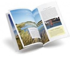 Brochure Immo Mag - Groupe...